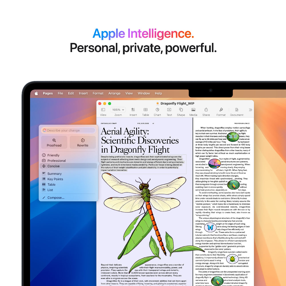 Apple MacBook Air M4 13.6" 16GB/256GB  Laptop - Midnight | MW123B/A from Apple - DID Electrical