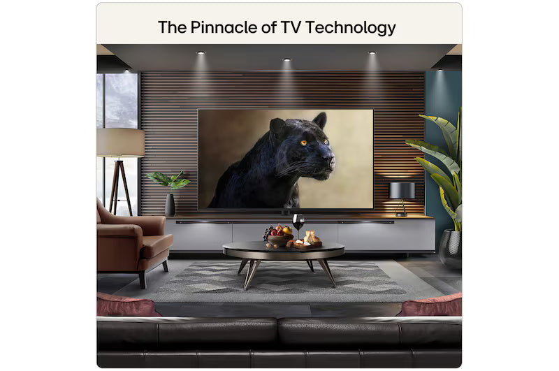 LG G6 55" 4K Smart TV with Stand - Black | OLED55G66LS.AEI