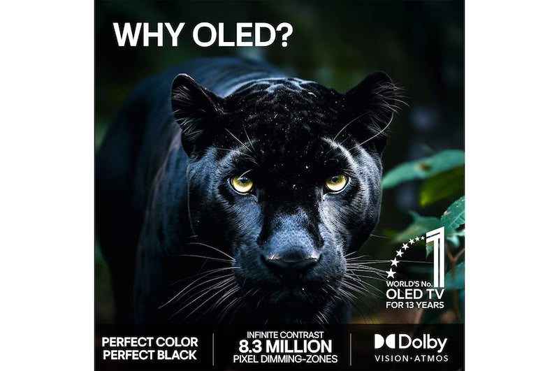 LG B6E 65" 4K Smart TV - Black | OLED65B6ELC.AEI