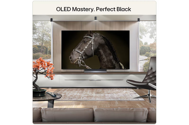 LG C6 65" 4K Smart TV - Black | OLED65C64LA.AEI