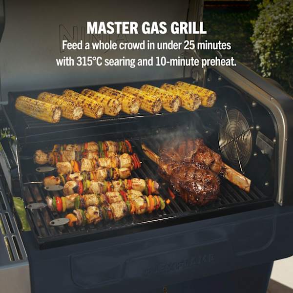 Ninja FlexFlame Gas 5-in-1 Outdoor BBQ - Blue & Gold | PG301UKBL from Ninja - DID Electrical