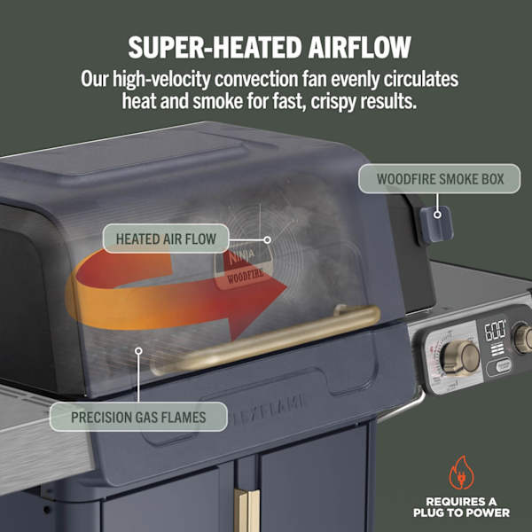 Ninja FlexFlame Gas 5-in-1 Outdoor BBQ - Blue & Gold | PG301UKBL from Ninja - DID Electrical