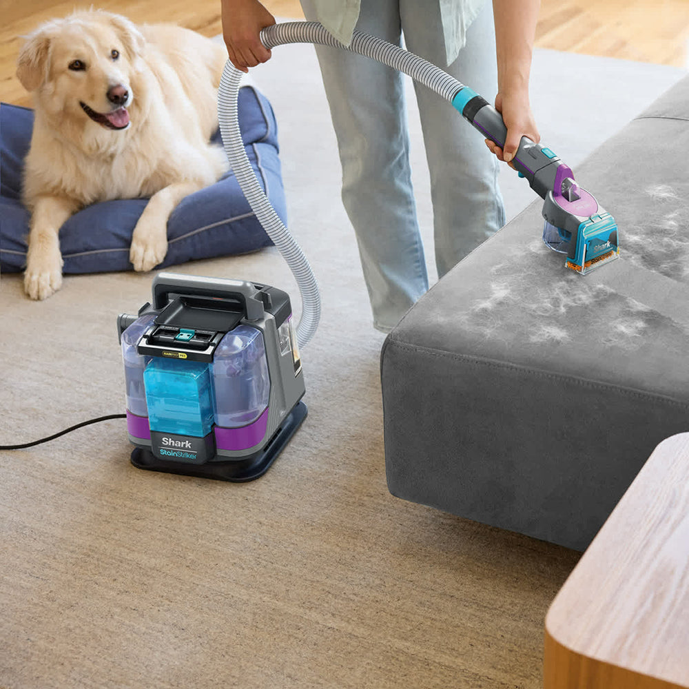 Shark StainStriker HairPro Pet Stain & Spot Vacuum Cleaner - Dark Silver & Force Fuscia | PX250UKT from Shark - DID Electrical