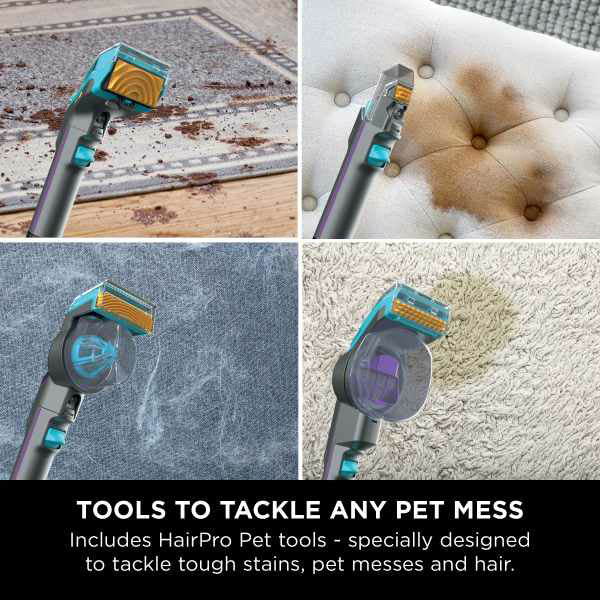 Shark StainStriker HairPro Pet Stain & Spot Vacuum Cleaner - Dark Silver & Force Fuscia | PX250UKT from Shark - DID Electrical