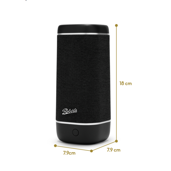 Roberts Reunion Portable Bluetooth Speaker - Black | REUNIONBK from Roberts - DID Electrical