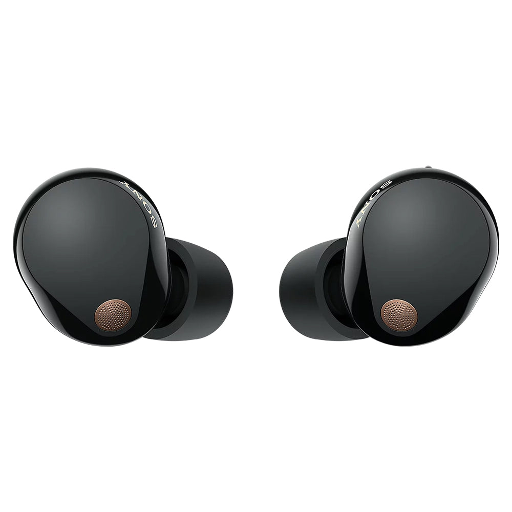 Sony In-Ear True Wireless Earbuds - Black | WF1000XM5BCE7 from Sony - DID Electrical
