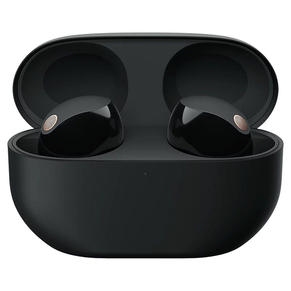 Sony In-Ear True Wireless Earbuds - Black | WF1000XM5BCE7 from Sony - DID Electrical