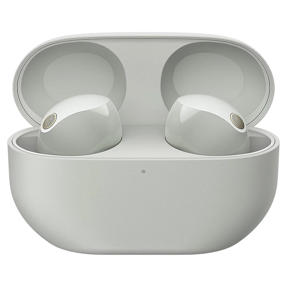 Sony In-Ear True Wireless Earbuds - Platinum Silver | WF1000XM5SCE7 from Sony - DID Electrical