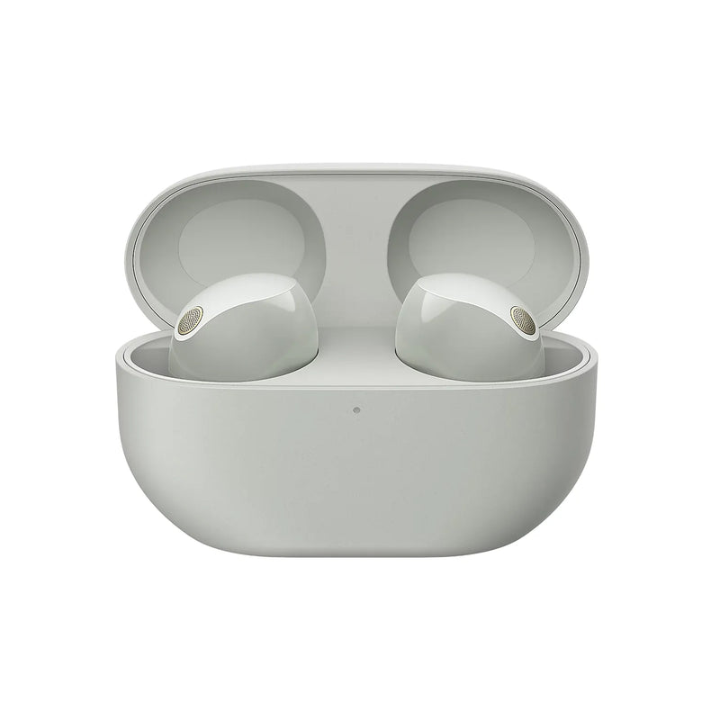 Sony In-Ear True Wireless Earbuds - Platinum Silver | WF1000XM5SCE7 from Sony - DID Electrical
