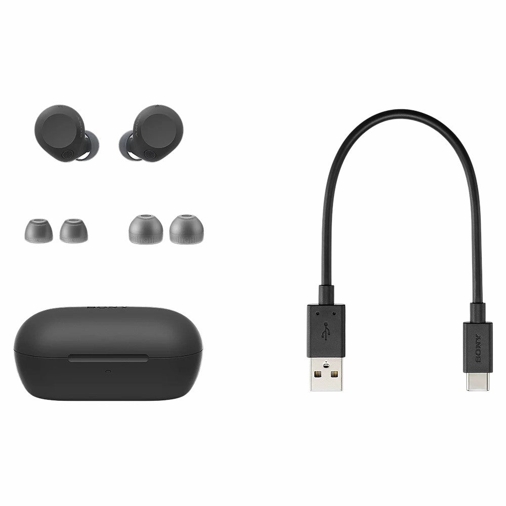 Sony Truly Wireless Noise Cancelling Earbuds - Glass Blue | WFC710NBCE7 from Sony - DID Electrical