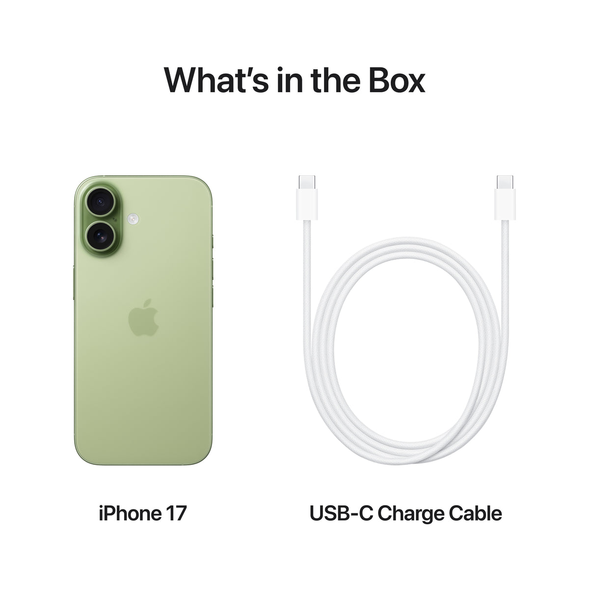 Apple iPhone 17 256GB Smartphone - Sage | MG6N4QN/A from Apple - DID Electrical