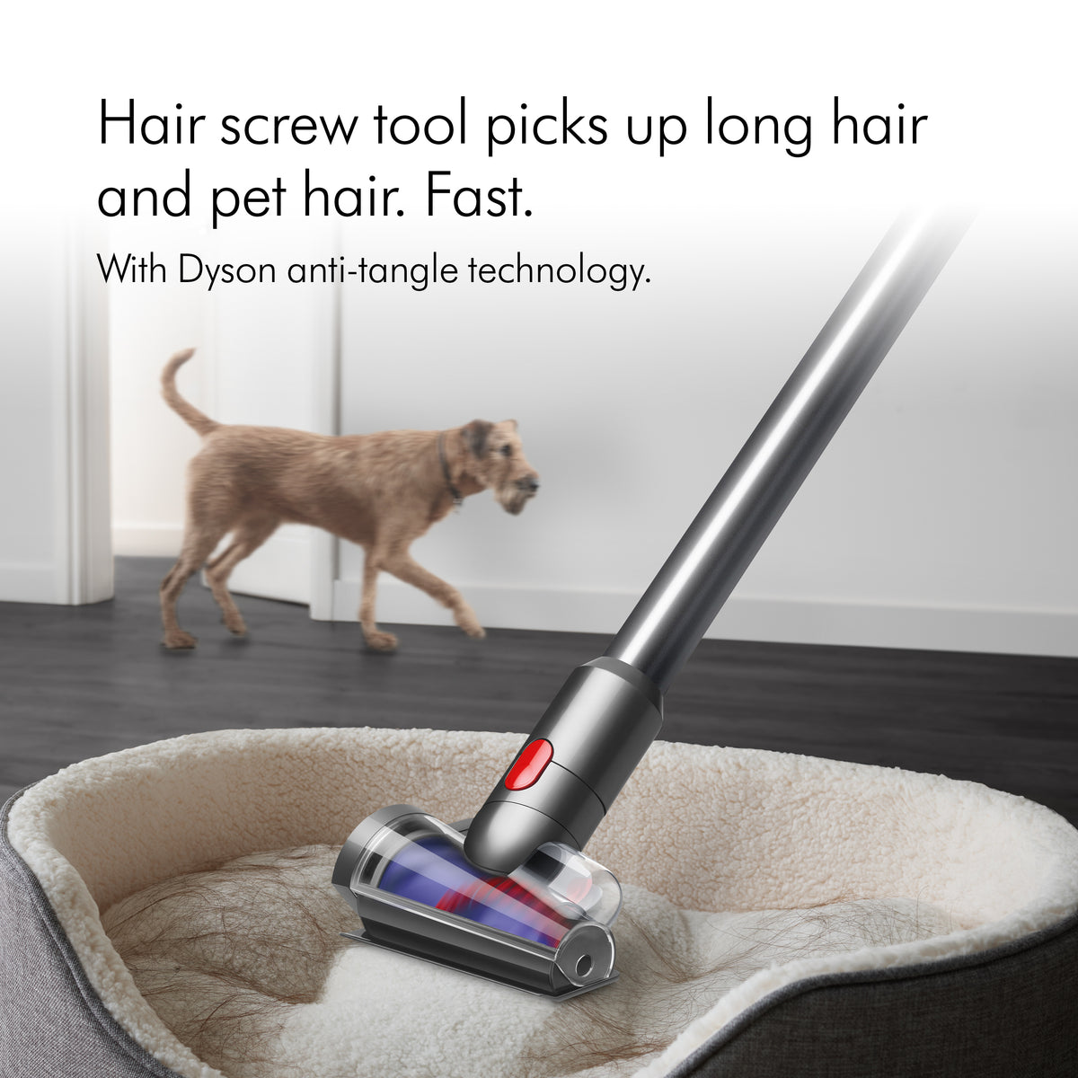 Dyson V12 Absolute Cordless Vacuum Cleaner - Nickel & Yellow | V12ABSOLUTENE from Dyson - DID Electrical
