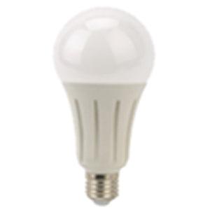 24W 2452lm ES 4000K GLS LED Lamp | LYV24ES (7229128573116)