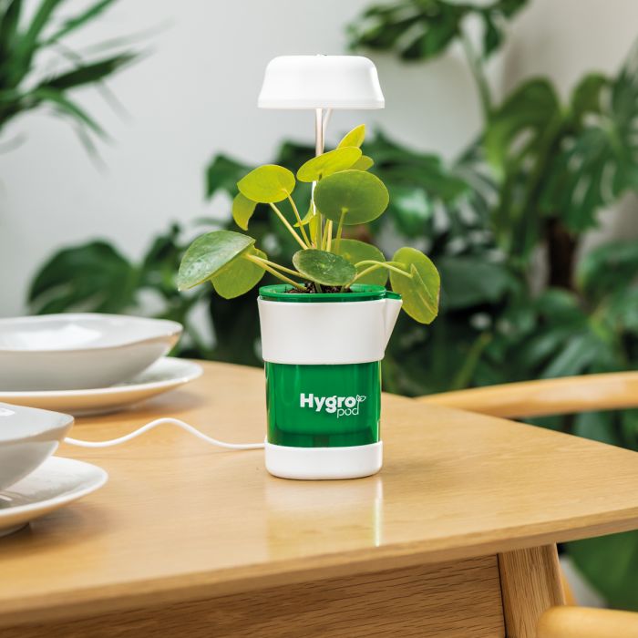 JML HygroPod Indoor Self Watering Pot with LED Light - White | A001789 (7680081821884)