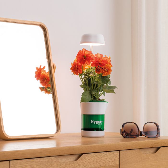 JML HygroPod Indoor Self Watering Pot with LED Light - White | A001789 (7680081821884)