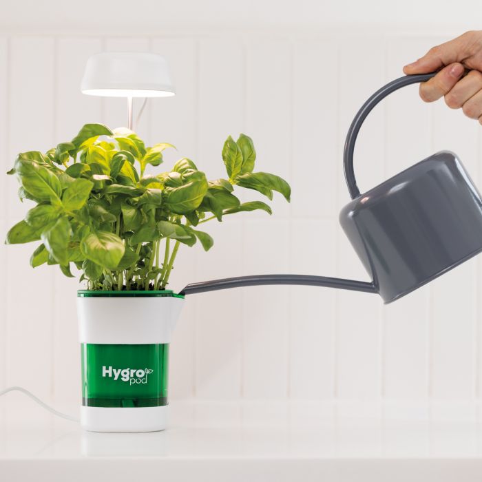 JML HygroPod Indoor Self Watering Pot with LED Light - White | A001789 (7680081821884)