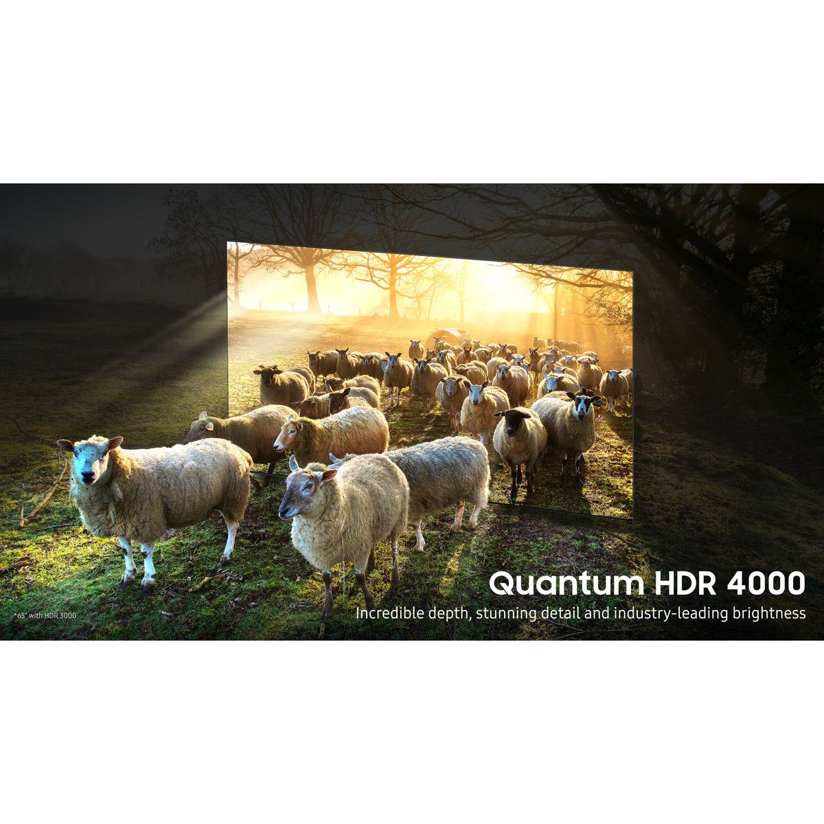 Samsung QN900B 65&quot; 8K HDR Neo QLED Smart TV - Stainless Steel | QE65QN900BTXXU (7578954563772)