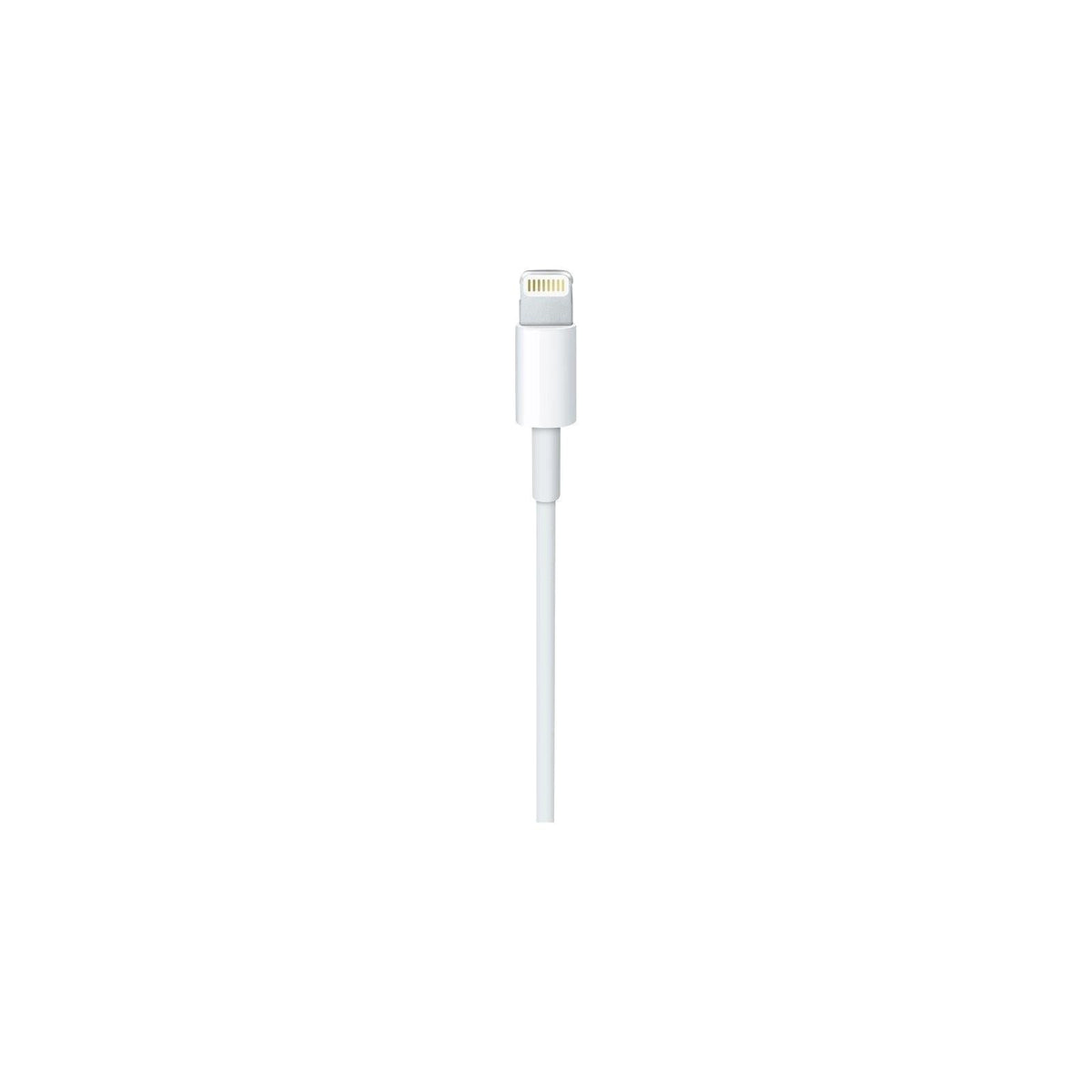 Apple 2.0M Lightning Connector to USB Cable - White | MD819ZM/A from DID Electrical - guaranteed Irish, guaranteed quality service. (6890763845820)