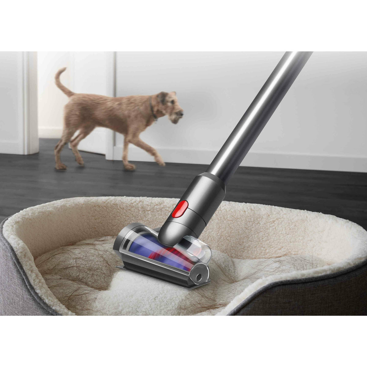 Dyson V12 Detect Slim Absolute Cordless Vacuum Cleaner - Purple (7015655604412)