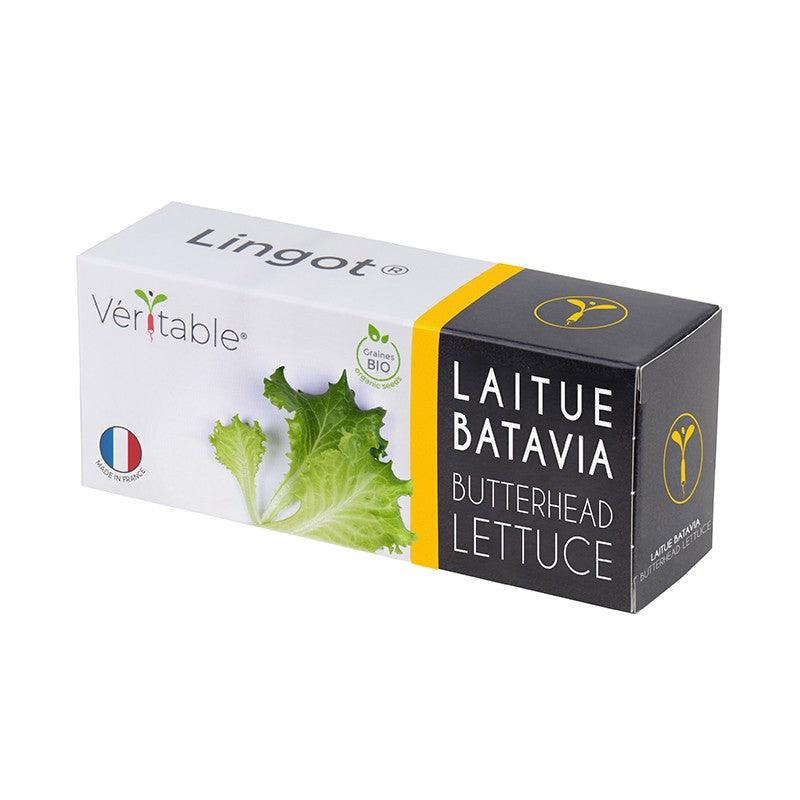 Veritable Organic Butterhead Lettuce Lingot | 511245 from DID Electrical - guaranteed Irish, guaranteed quality service. (6977533477052)